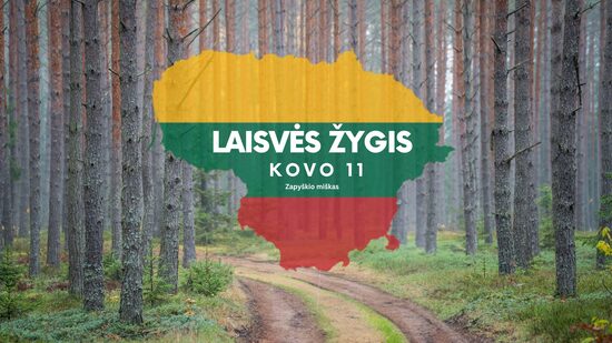  Laisvės žygis